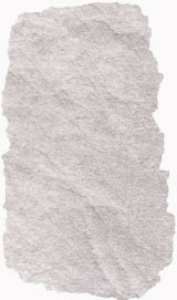 vzorek 801