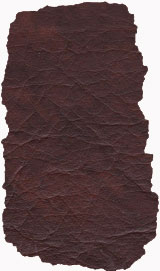 vzorek 444