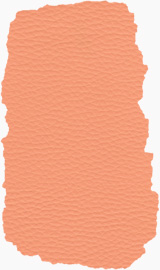Vzorek 8